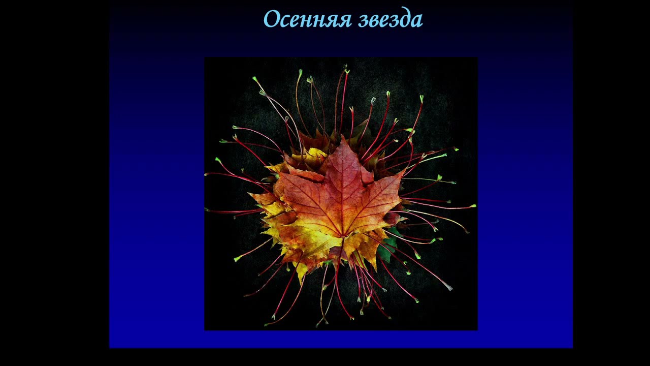 Фиброз печени и портальная гипертензия