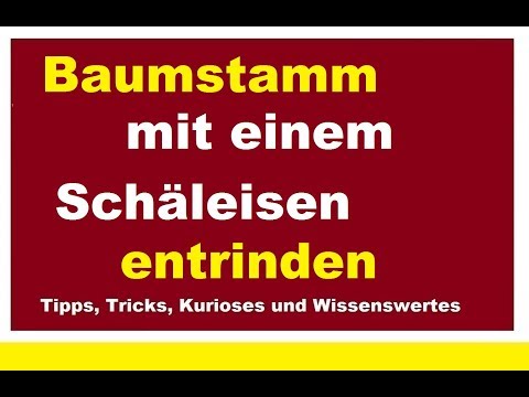 Video: Obzol (22 Fotos): Was Ist Das? Baumstämme, Scharfe Und Stumpfe Baumstämme, Besäumte Und Unbesäumte Bretter, Die Folgen Von Baumschwund Und Rindenentfernung