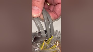 Wiring Made Simple: Quickwire Switch & Load