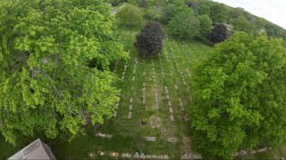 Drone Split S Perfection Through Trees