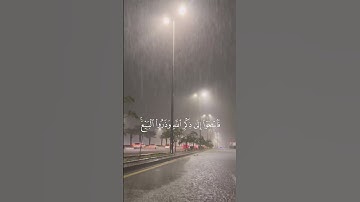 قران كريم | تلاوة خاشعه تريح القلب