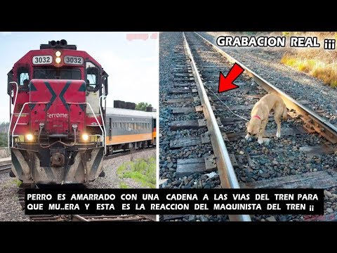 Que hay que hacer para ser maquinista de tren