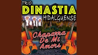 Video thumbnail of "Trio Dinastia Hidalguense - Cheque En Blanco"