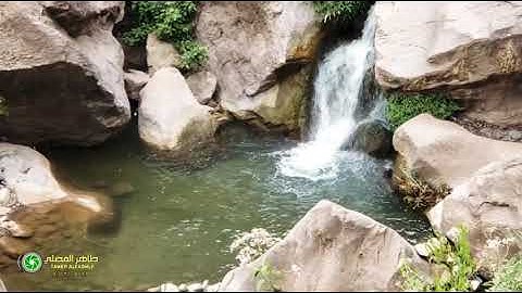 "إن الله وملائكته يصلون على النبي" تلاوه رائعه ارح قلبك وسمعك بها🌷