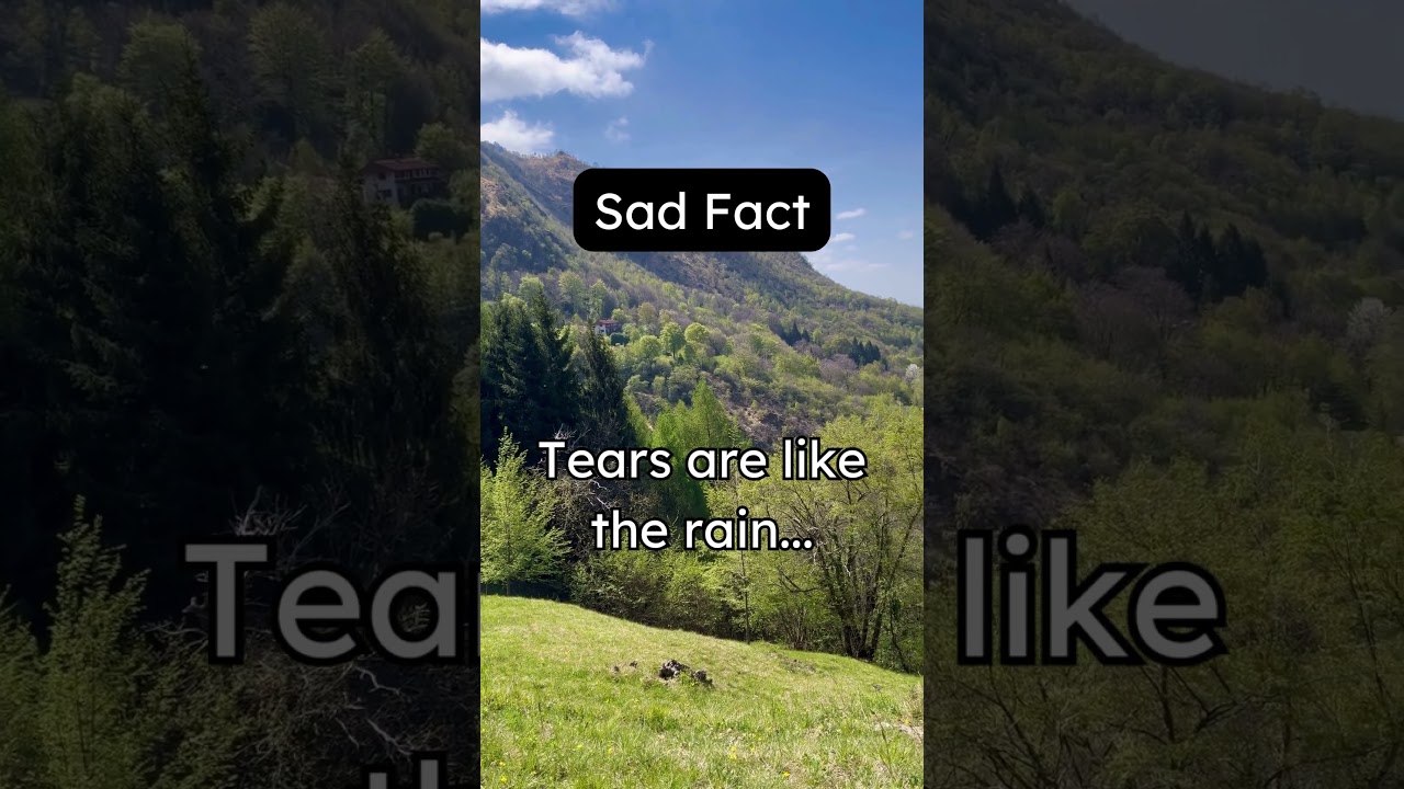 Tears of Release: Heart's Rain 