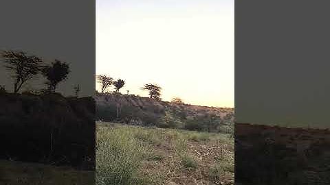 Use the edit icon to pin, add or delete clips.  like share subscribe..💯🙏