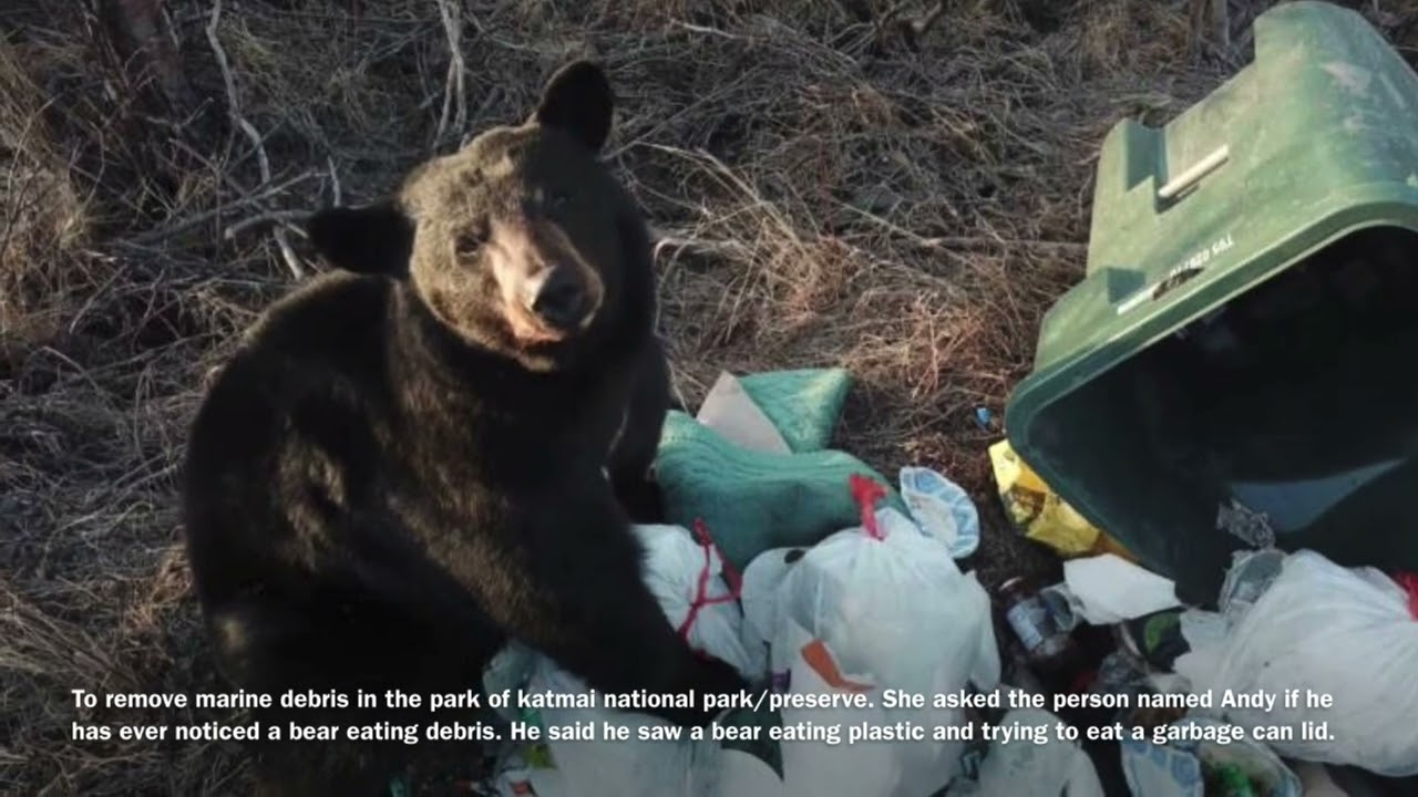 Plastic Ocean Project - Project for Awesome 2023