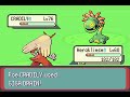 steven stone for real - pokemon emerald #121