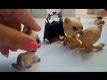 Littlest Pet Shop(LPS)"Любовь пацанки"2 сезон 3 серия"Зачем ты играешь с моими чувствами"