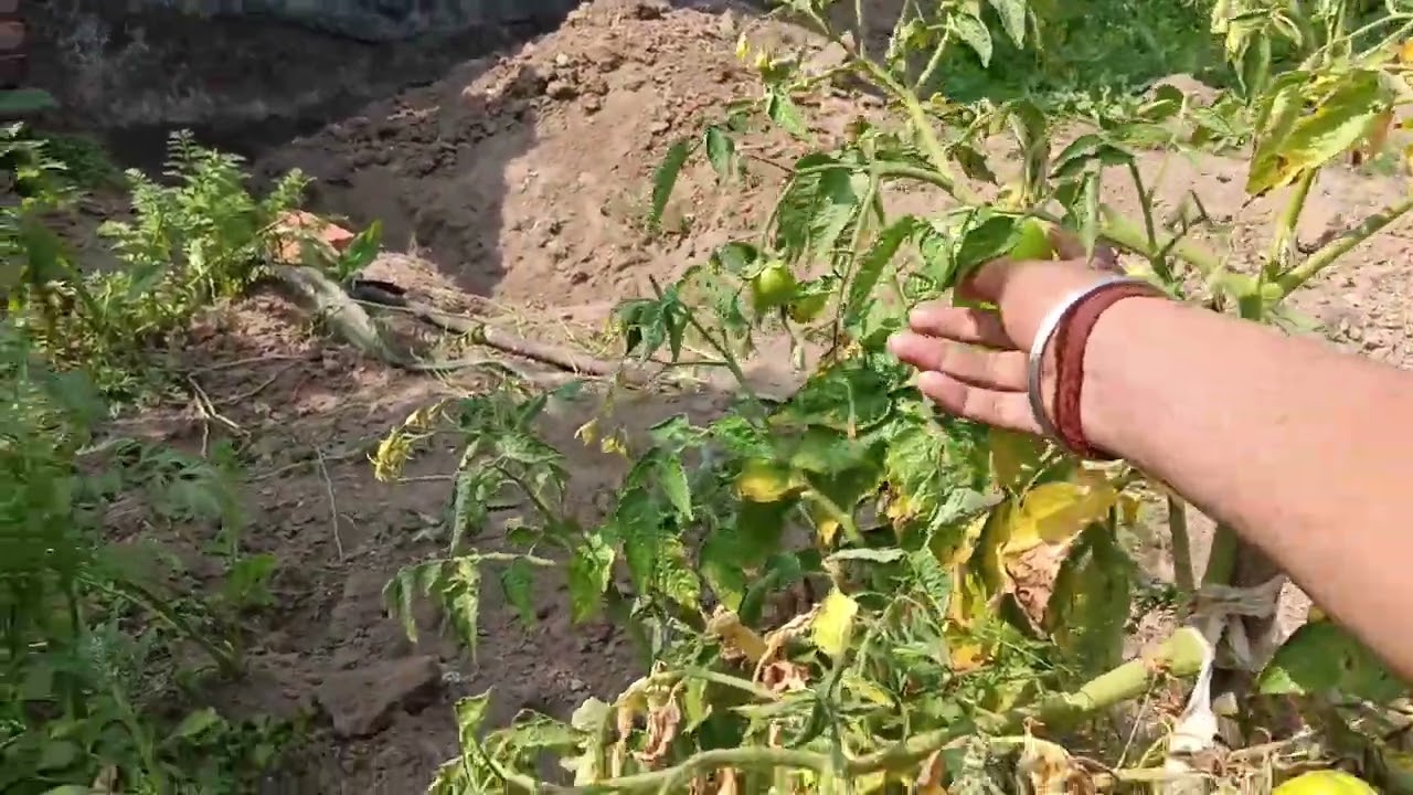 My new fast vlogs 🙏🌅  #viralvideos #shortsviral #youtubevideos #ytshorts