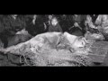 Homenagem a Hachiko, após 80 anos, o tão esperado reencontro de Hachi e seu dono ♥