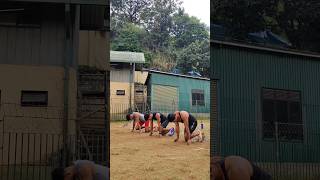 100m Block Start acceleration 🇱🇰 #blockstart #100m #trainingdiaries