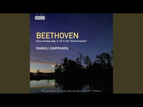 Piano Sonata No. 29 in B-Flat Major, Op. 106, "Hammerklavier": III. Adagio sostenuto,...