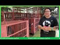 Join Dawn, Midnight and Twilight as they move to their forever home