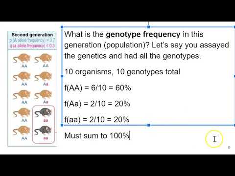 Video: Hvad er definitionen af biologisk evolution med hensyn til allelfrekvenser?