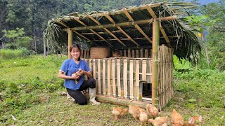 How to make a simple chicken coop with bamboo and the life of a 22-year-old girl...