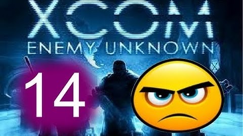 XCOM Enemy Unknown Let