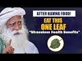 A miraculous leaf  eat this after food for amazing health benefits  ayurveda  sadhguru