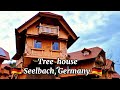 Tree  house in seelbach germany 4k