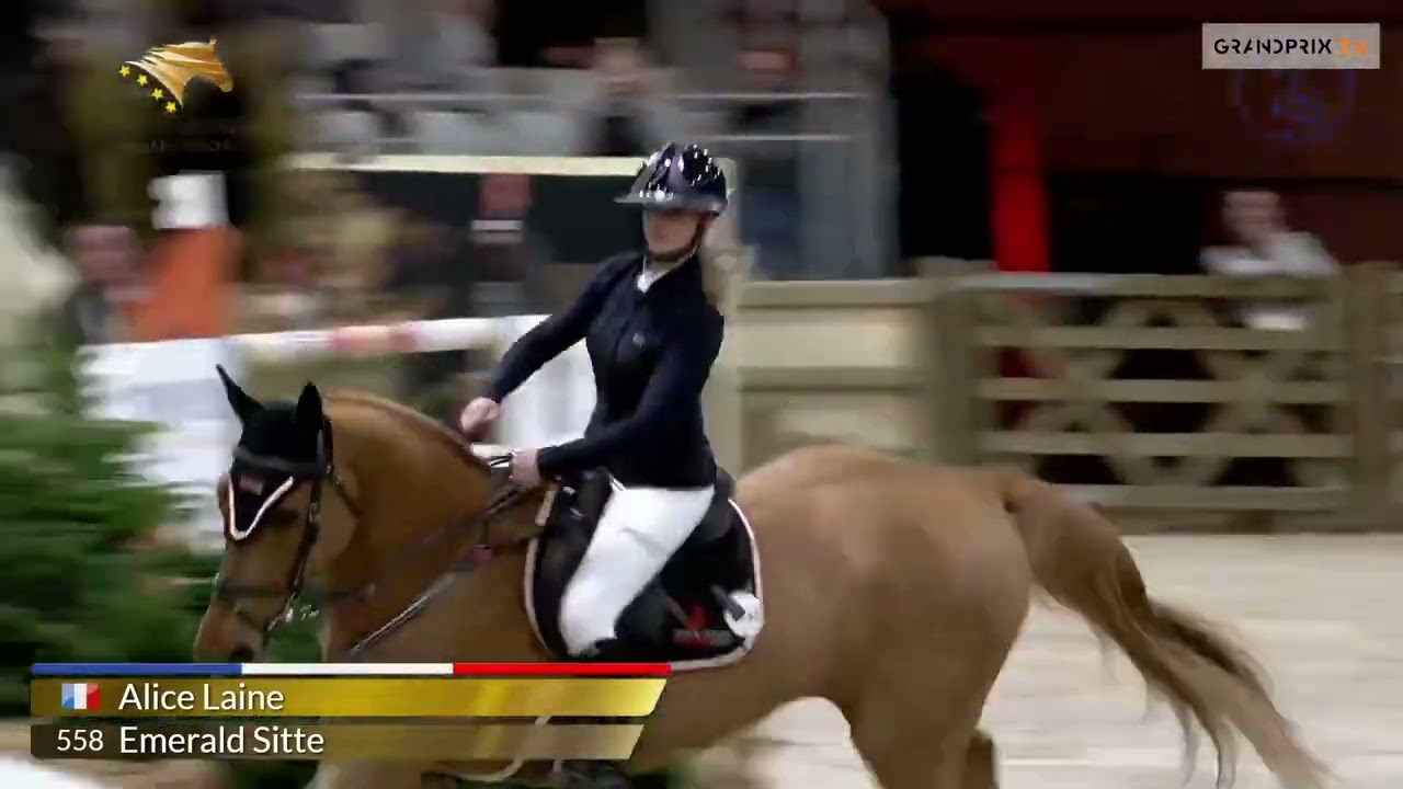 Emerald Sitte*litiere-cheval.com Alice Lainé CSI 4* Equiseine Rouen  Barrage GP 150 3e Novembre 2024