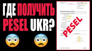 ЛУЧШЕ ЗНАТЬ! Где в Польше получить PESEL для беженцев? #польша