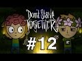 Don't Starve Together Spiders Everywhere