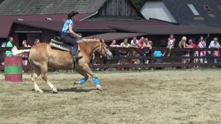 Rajnochovice 2017