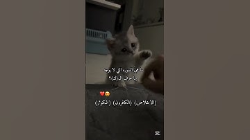 ماهي السوره التي لا يوجد بها حرف الـ(ك) الجواب: الاخلاص. الكافرون. الكوثر 💙🦋#قرآن #رمضان_كريم