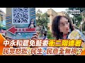 罷免風潮