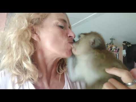 Rough Kisses With My Monkey