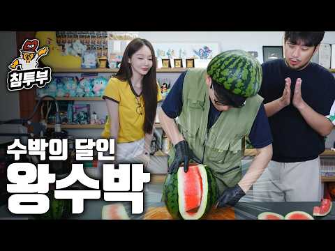 어렵게 모셔 온 수박 전문가 (강민경 특별출연)