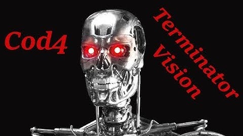 COD 4: Terminator Vision
