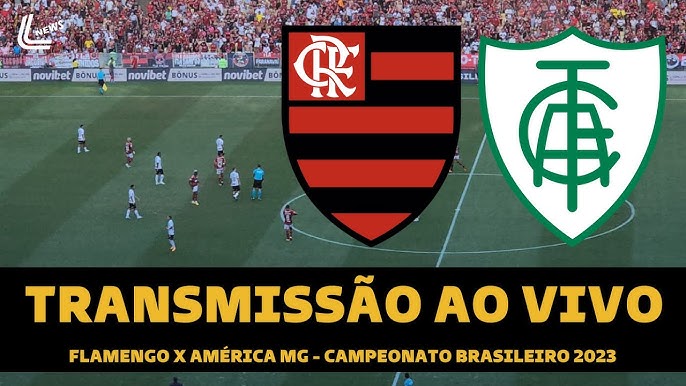 Flamengo futebol play