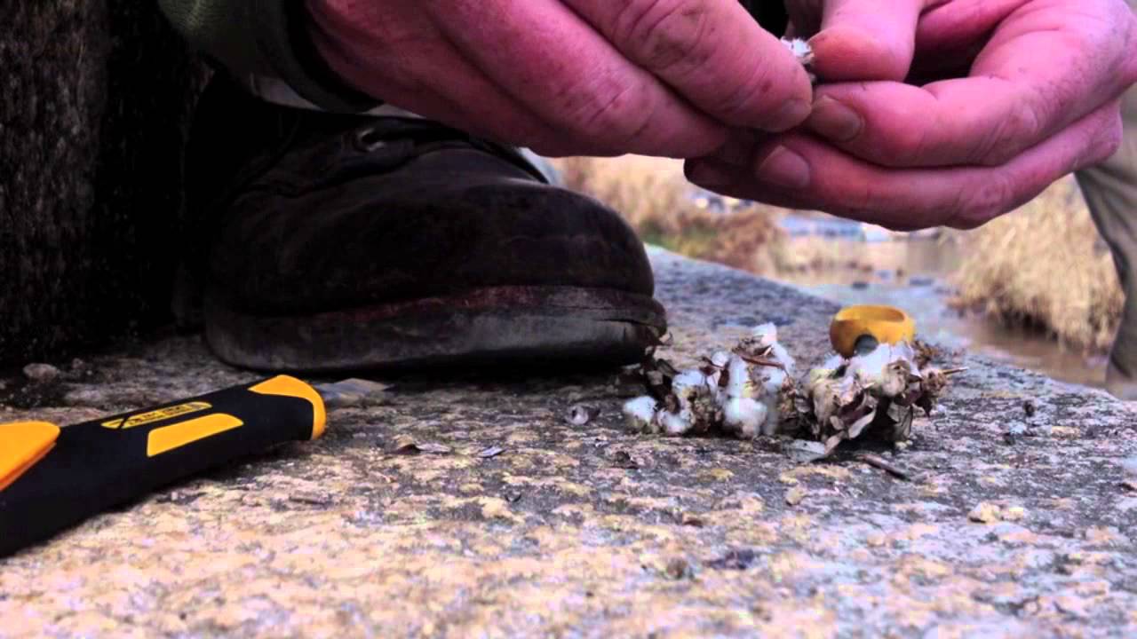 Natural Tinders: Dry Palm Leaf Stalks & Mystery