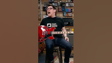 Who Can Cope With A 12-String Electric? #shorts #guitar