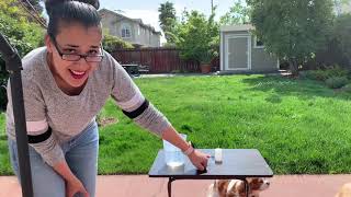 Kitchen Science Episode 2