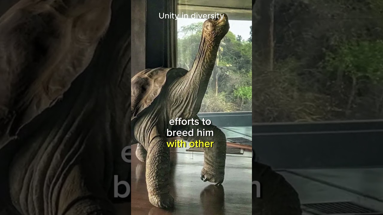 Lonesome George: THE LAST OF HIS KIND?