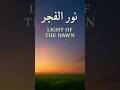 Light of the dawn (Nur al Fajr) | Nasheed ❤️
