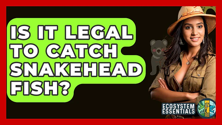 Is It Legal To Catch Snakehead Fish? - Ecosystem Essentials