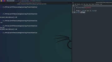 picoCTF - Reverse Engineering: Transformation