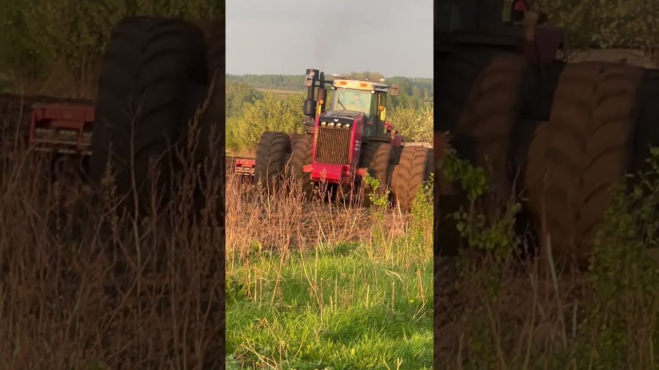 BUHLER versatile 👍💪💪💪