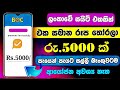 Online jobs at home  e money sinhala  online job  online jobs sinhala  online business  2024