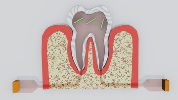 Particle Simulation #38 : Tooth Move Like Fluid Simulation