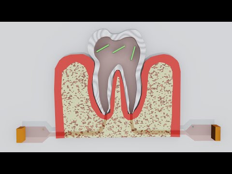 Particle Simulation #38 : Tooth Move Like Fluid Simulation