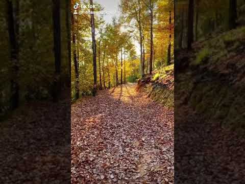 عبدالحليم حافظ ياحبيبي عشت أجمل عمر في عنيك الجميلة