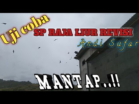 sp Raja liur 77 memang Jos Ndak Mandang Gedung kecil...ππΌππΌππΌ