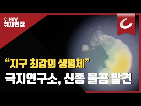 &amp;quot;지구 최강 생명체&amp;quot; 극지연구소 신종 <strong>물곰</strong> 발견, 번식 성공
