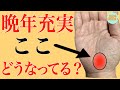 50代以降人生輝ける手相『二重生命線』徹底解説!鑑定歴25年占い師の手相勉強会第107回。#手相 #生命線