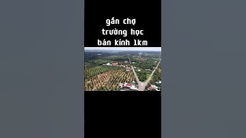 cần tiền chữa bệnh ! chị hạnh xót xa rao bán vườn trái cây đã cho thu hoạch ở bà rịa vũng tàu