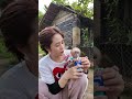 可愛いお猿さん😍😍🙈🙈🐒🐒🐵#monkeyvideo #monkeys #monkey #monkeydluffy #cute #monkeybaby #usa #cute